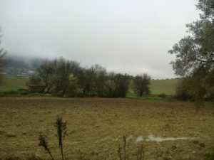 ribera del guadalhorce a su paso por molino jabonero