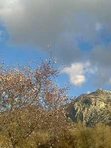 Primavera en Molino Jabonero